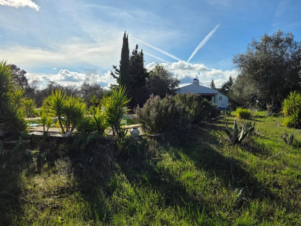 Moradia T3 para Venda em Pavia Foto 59