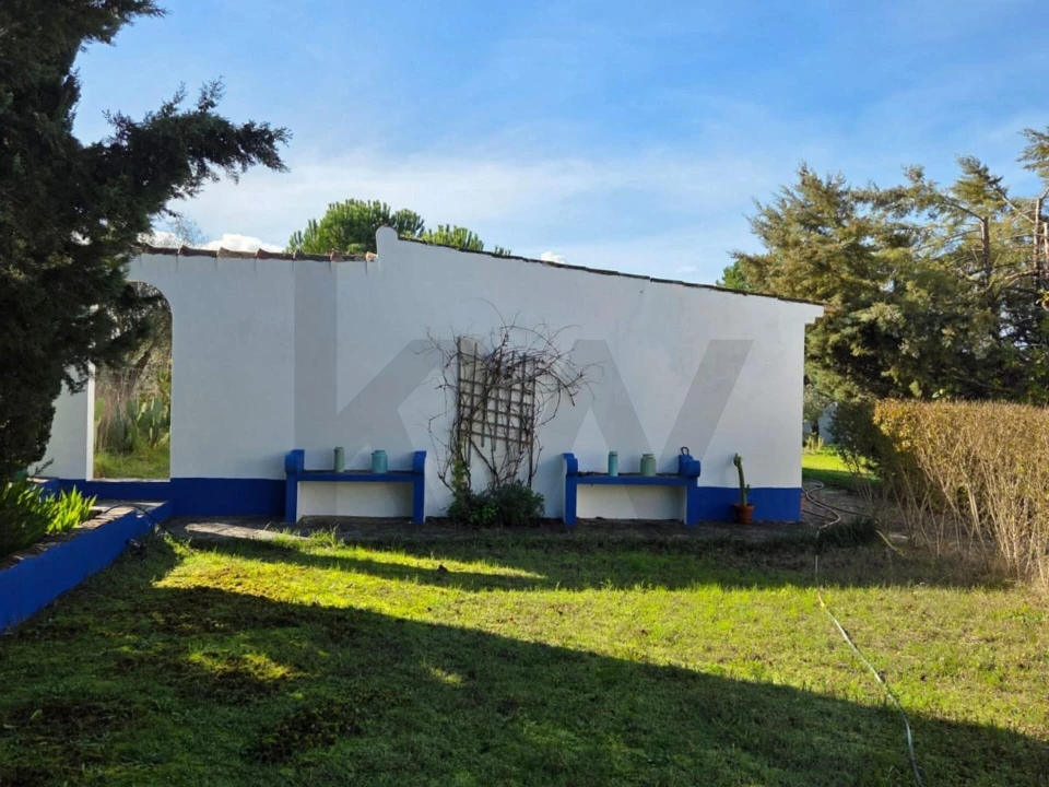 Moradia T3 para Venda em Pavia Foto 39