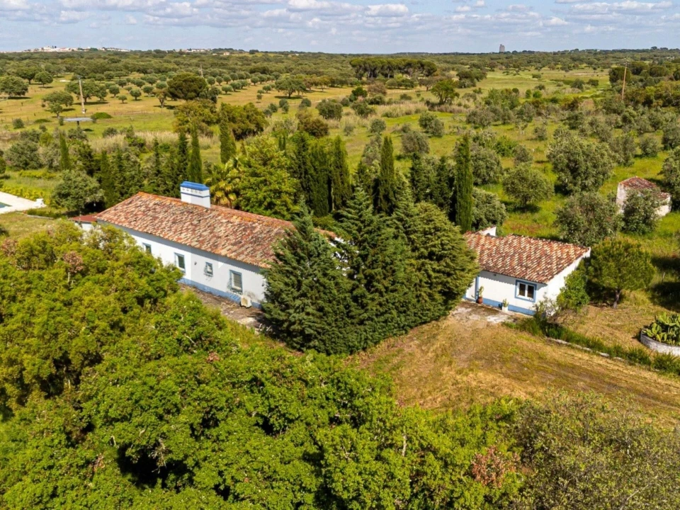 Moradia T3 para Venda em Pavia Foto 72