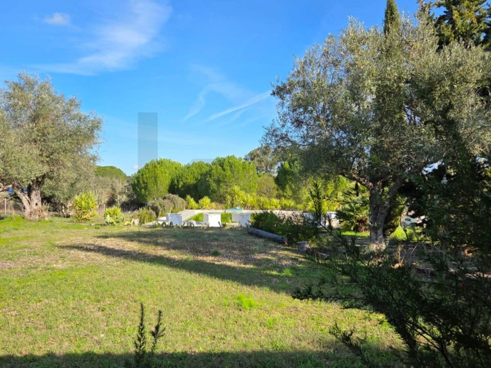 Moradia T3 para Venda em Pavia Foto 56