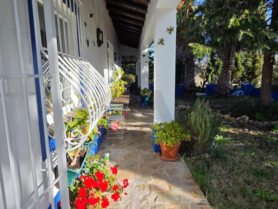 Moradia T3 para Venda em Pavia Foto 34