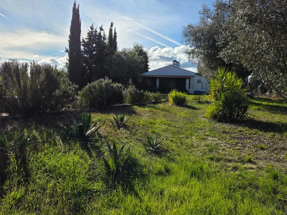 Moradia T3 para Venda em Pavia Foto 46