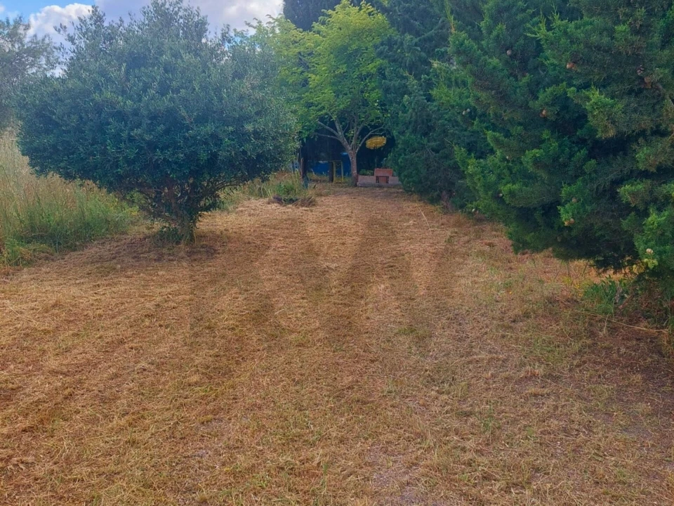 Moradia T3 para Venda em Pavia Foto 62