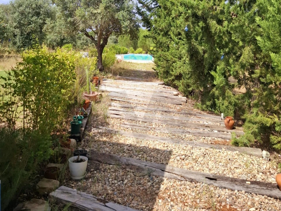 Moradia T3 para Venda em Pavia Foto 50