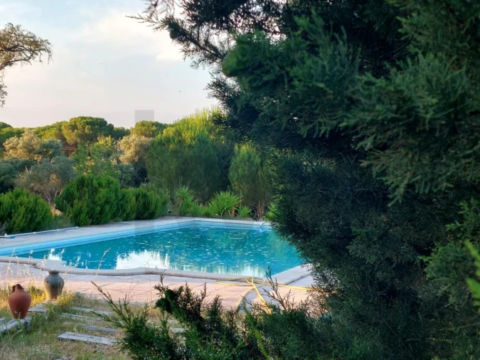 Moradia T3 para Venda em Pavia Foto 51