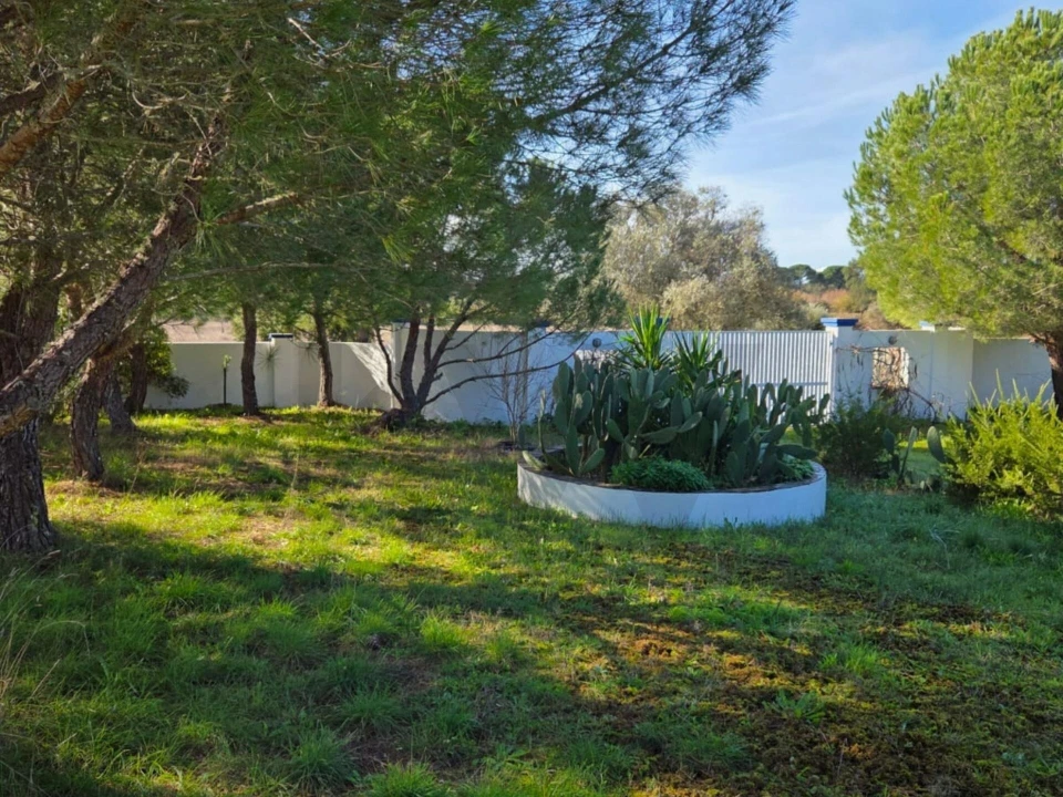 Moradia T3 para Venda em Pavia Foto 67