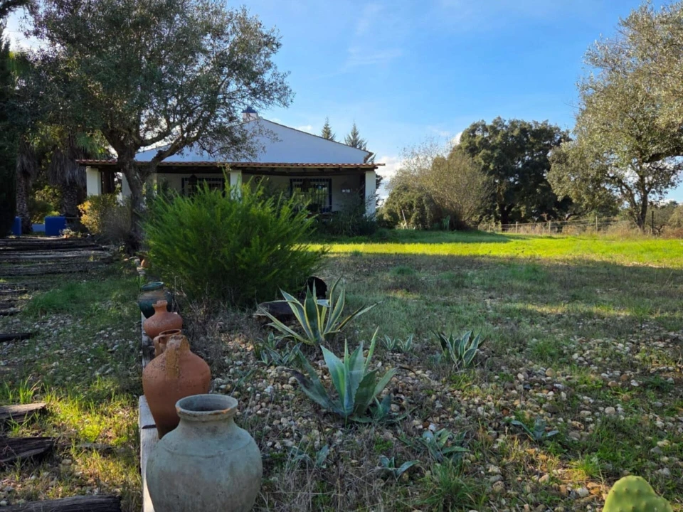 Moradia T3 para Venda em Pavia Foto 44