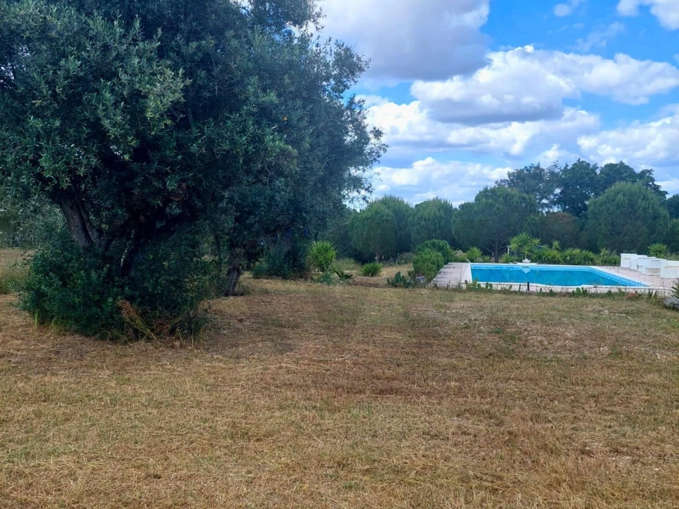 Moradia T3 para Venda em Pavia Foto 54