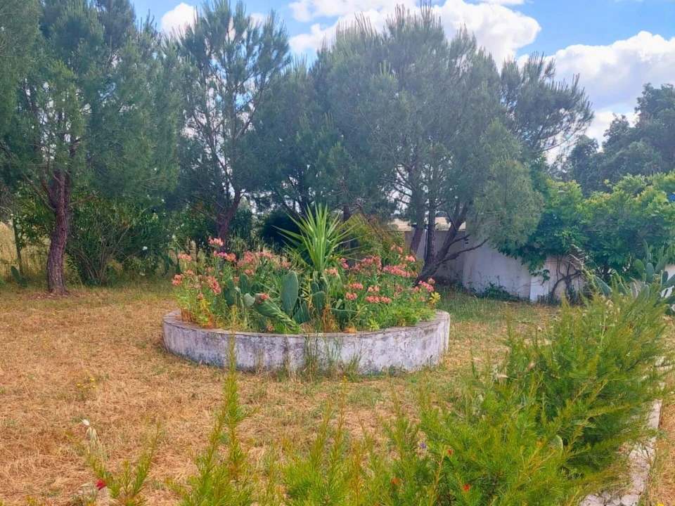 Moradia T3 para Venda em Pavia Foto 63