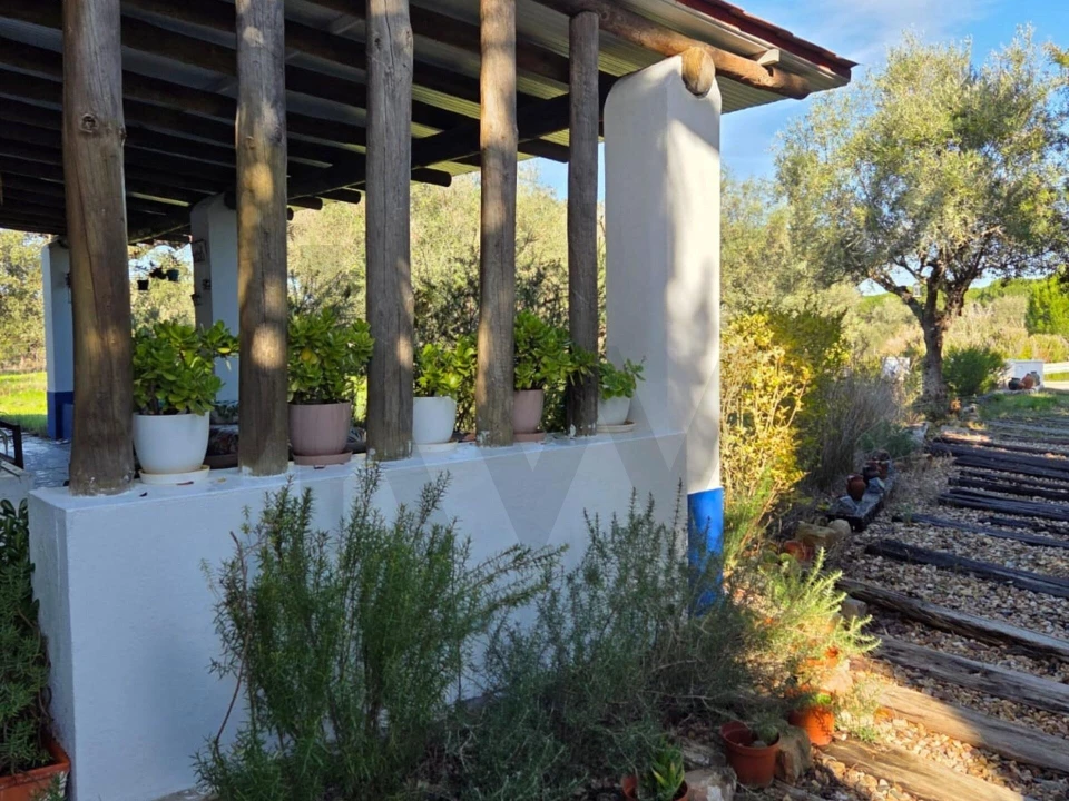 Moradia T3 para Venda em Pavia Foto 48