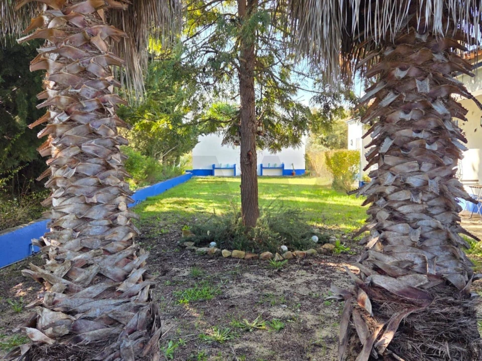 Moradia T3 para Venda em Pavia Foto 66