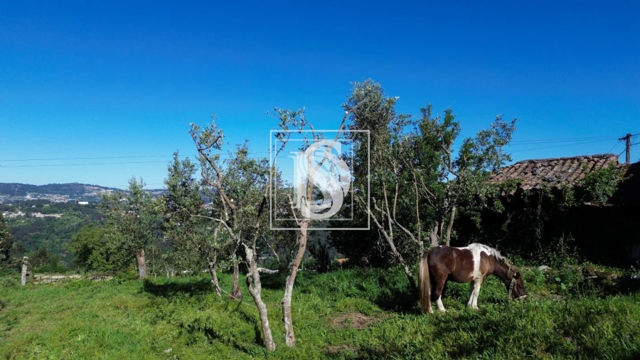 Moradia T2 para Venda em Jazente Foto 15