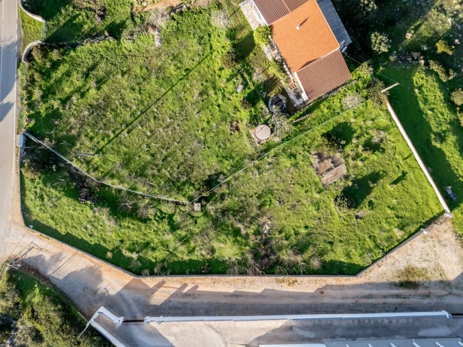 Terreno para Venda em Barão de São Miguel Foto 15