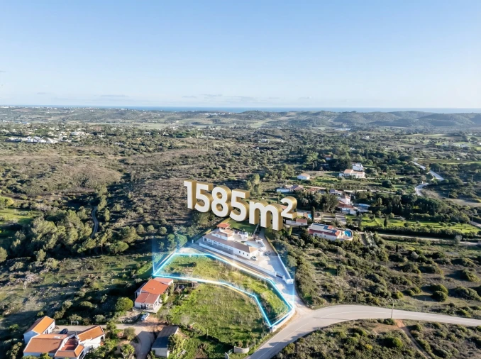 Terreno para Venda em Barão de São Miguel Foto 4