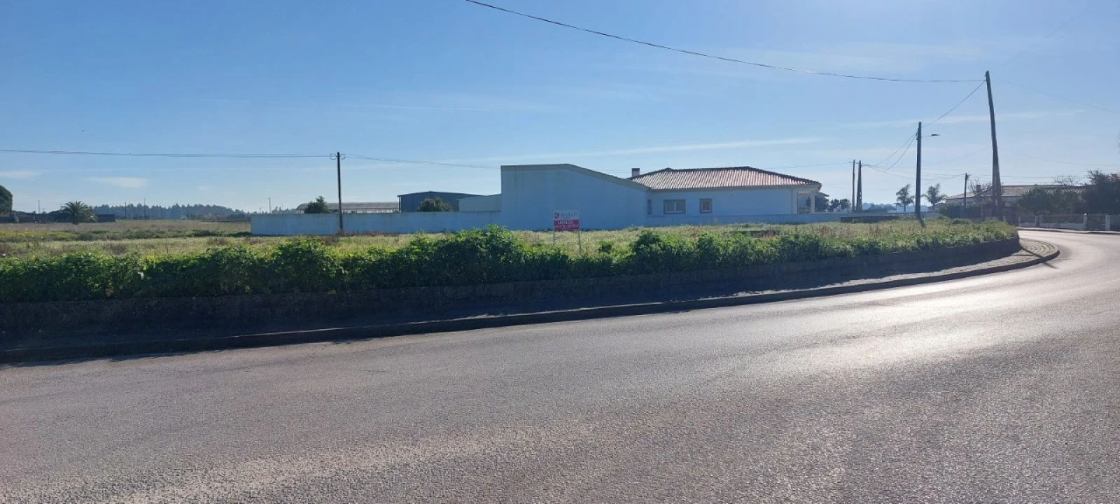 Terreno para Venda em Monte Real e Carvide Foto 2