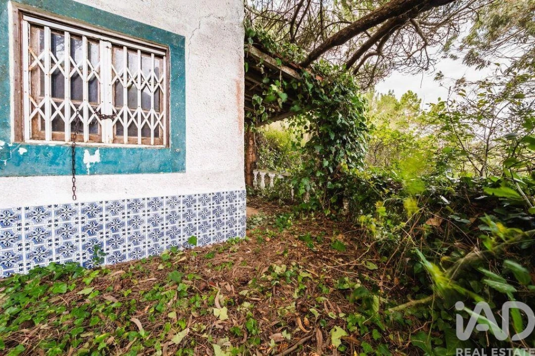 Terreno para Venda em Foz do Arelho Foto 16