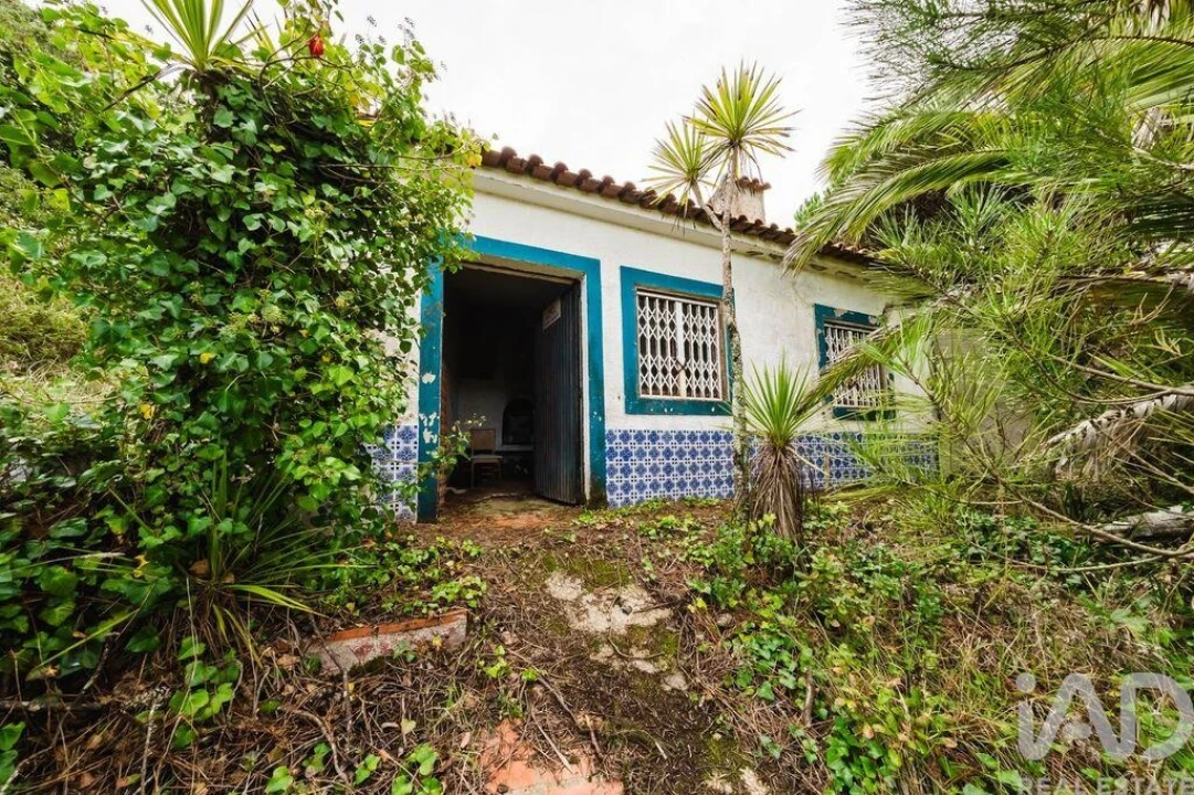 Terreno para Venda em Foz do Arelho Foto 5