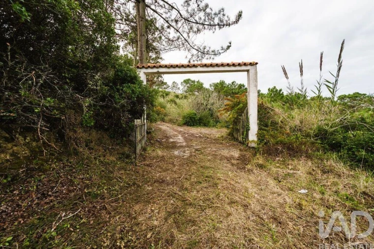 Terreno para Venda em Foz do Arelho Foto 4