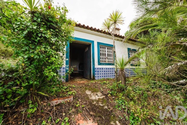 Terreno para Venda em Foz do Arelho Foto 5