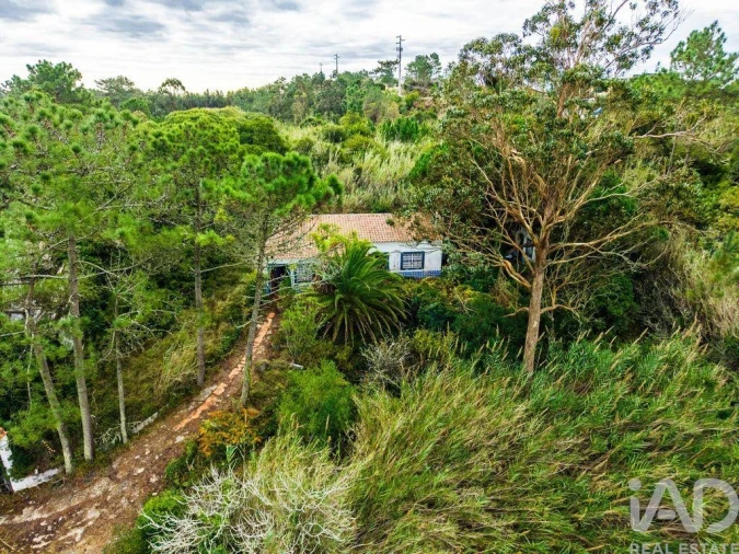 Terreno para Venda em Foz do Arelho Foto 24