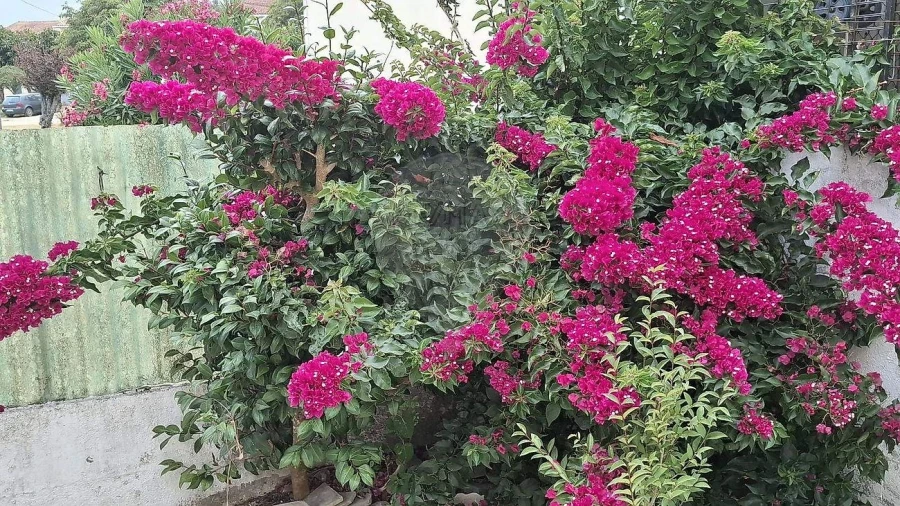 Moradia T3 para Venda em Algueirão-Mem Martins Foto 9