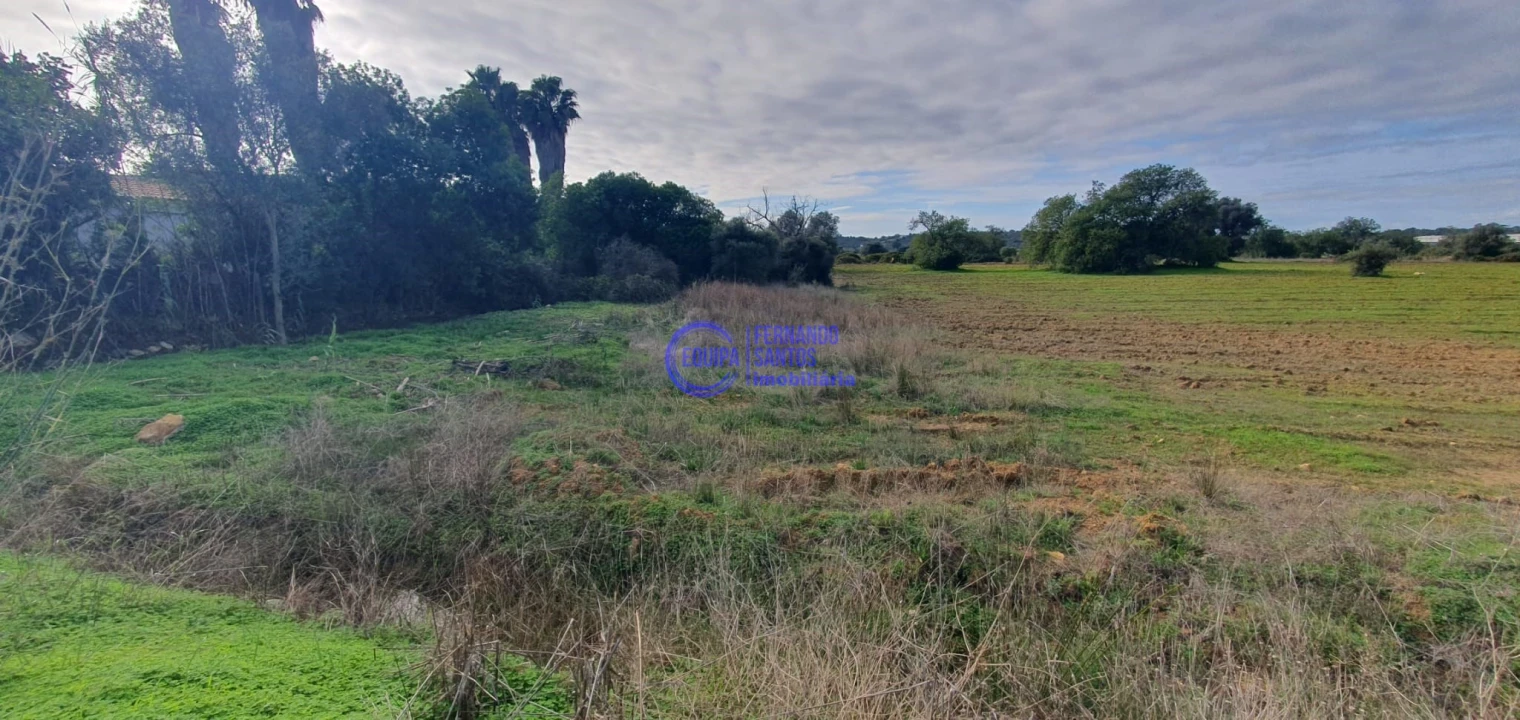 Terreno para Venda em São Silvestre Foto 3