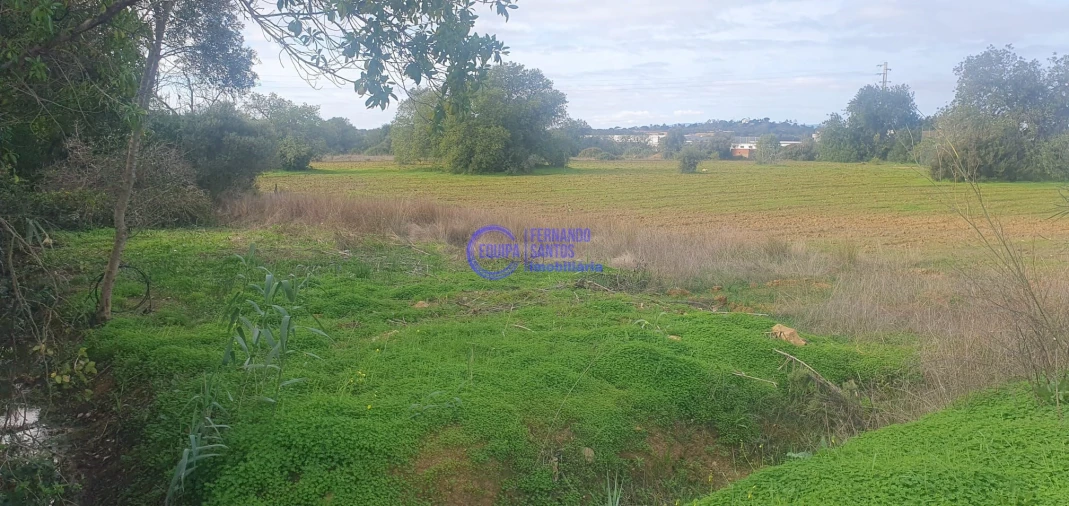 Terreno para Venda em São Silvestre Foto 2