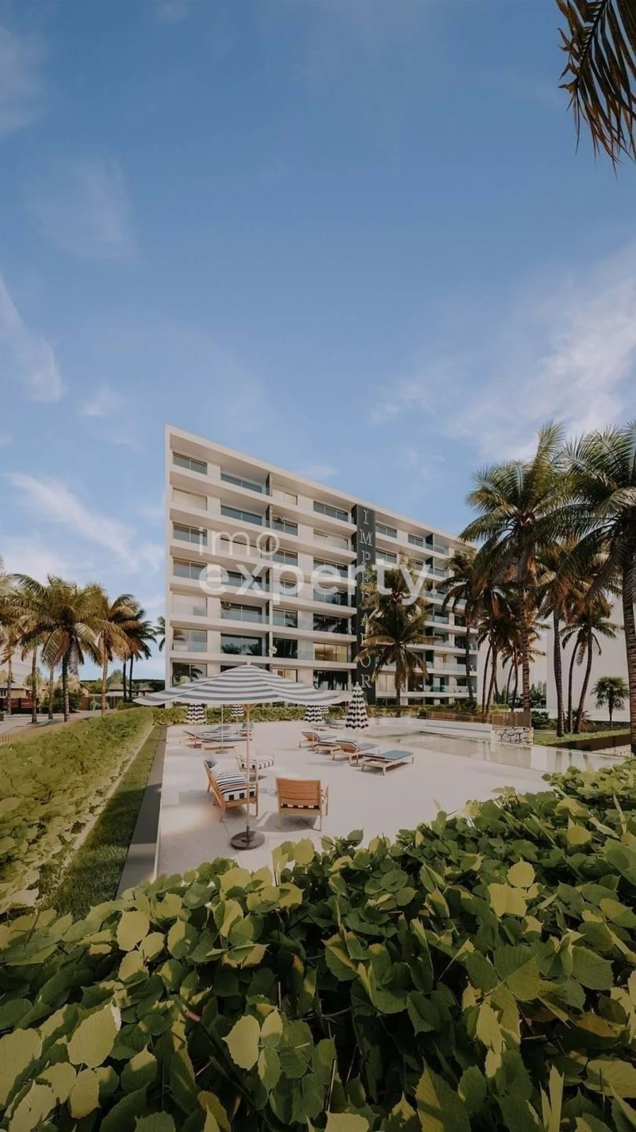 Apartamento T1 para Venda em São Martinho Foto 10