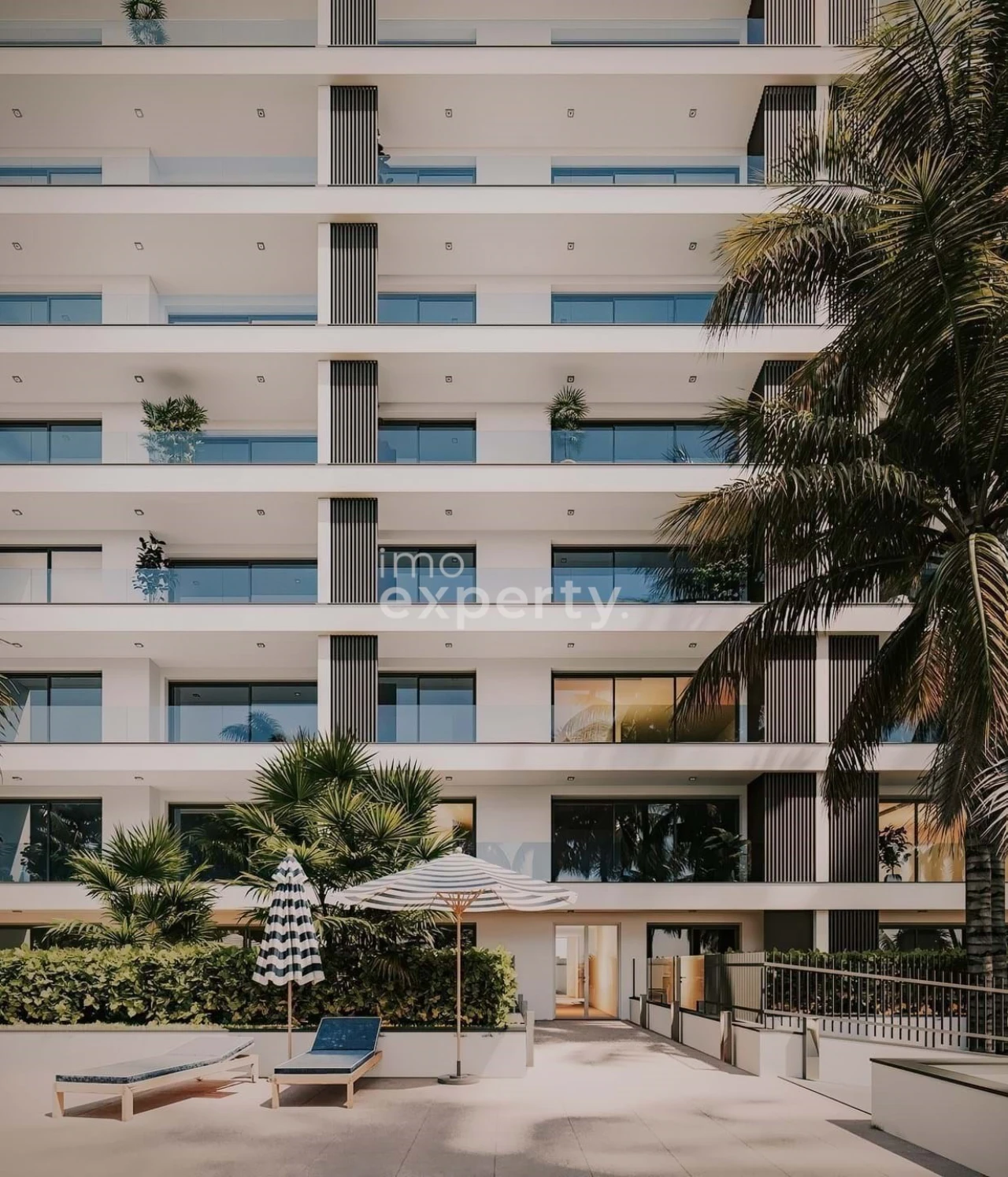 Apartamento T1 para Venda em São Martinho Foto 4