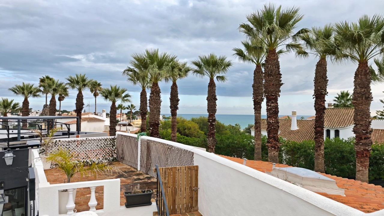 Negócio para Venda em Lagoa e Carvoeiro Foto 9