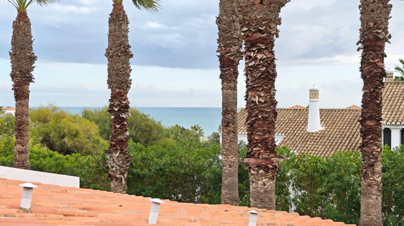 Negócio para Venda em Lagoa e Carvoeiro Foto 1