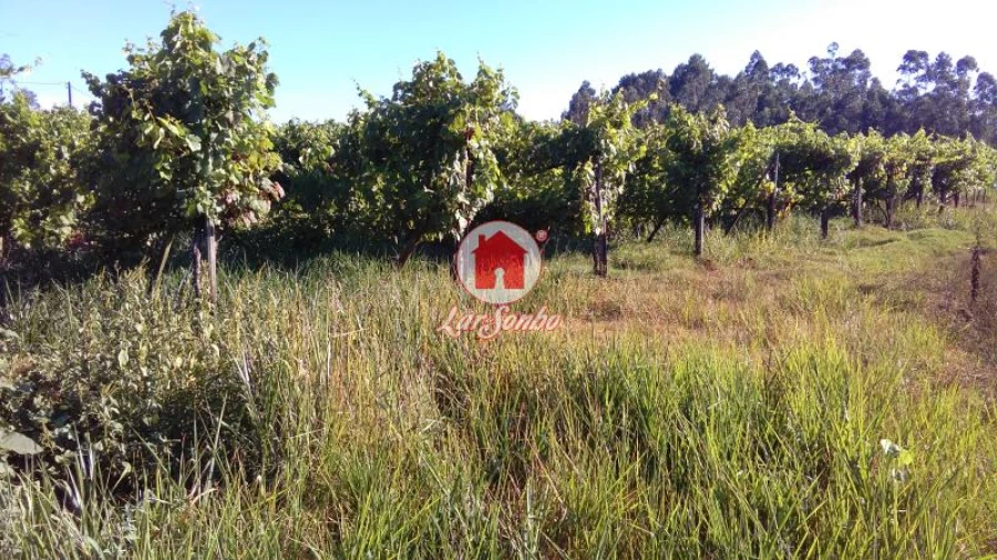 Terreno Agricola ou Rústico para Venda em Vilarinho das Cambas Foto 2