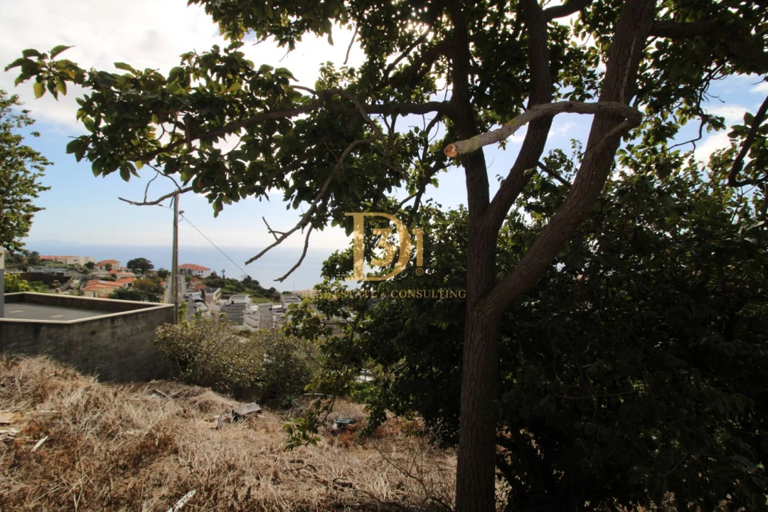 Terreno para Venda em Caniço Foto 16