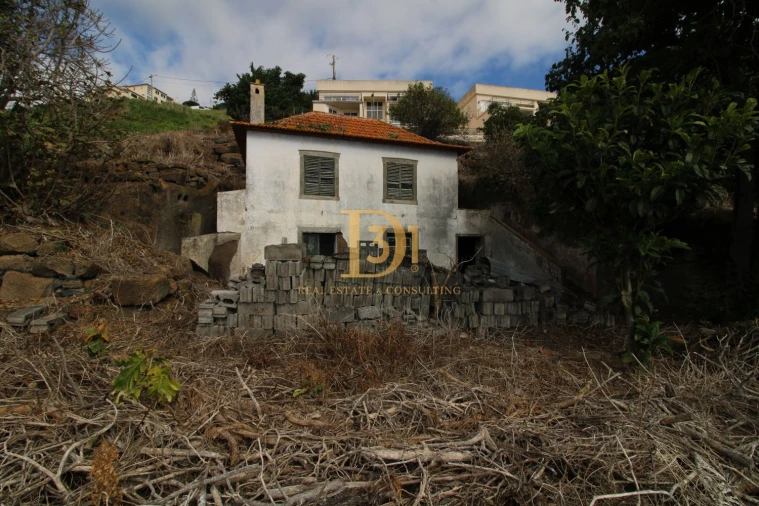 Terreno para Venda em Caniço Foto 6