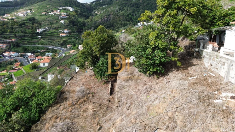Terreno para Venda em Caniço Foto 12