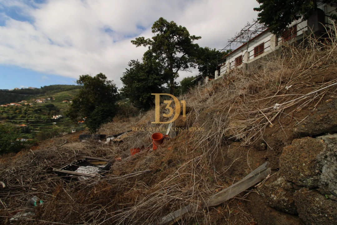 Terreno para Venda em Caniço Foto 14