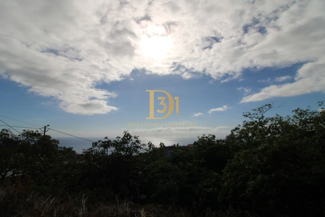 Terreno para Venda em Caniço Foto 26