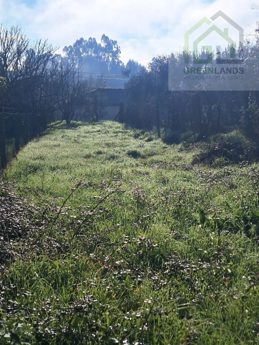 Moradia T1 para Venda em Mouronho Foto 4