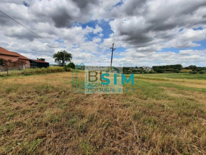 Terreno para Venda em Romeira e Várzea Foto 5