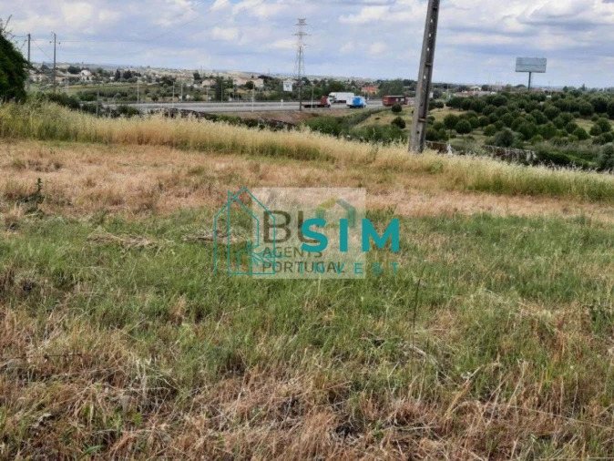 Terreno para Venda em Romeira e Várzea Foto 7