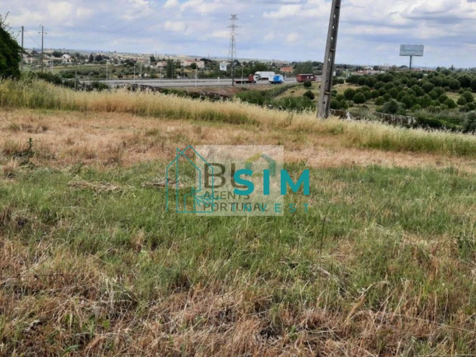 Terreno para Venda em Romeira e Várzea Foto 27