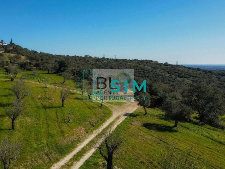 Terreno para Venda em Boliqueime Foto 29