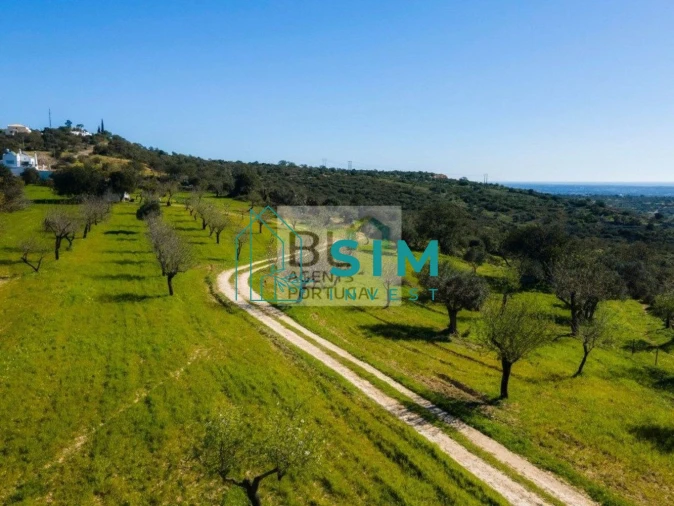 Terreno para Venda em Boliqueime Foto 18