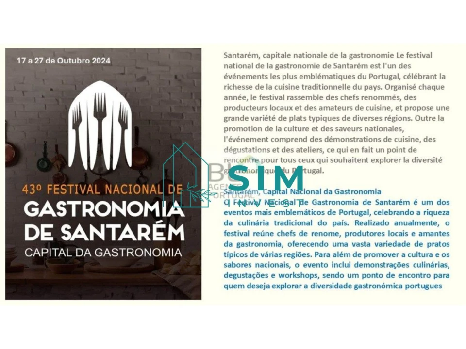 Terreno para Venda em Marinhais Foto 16