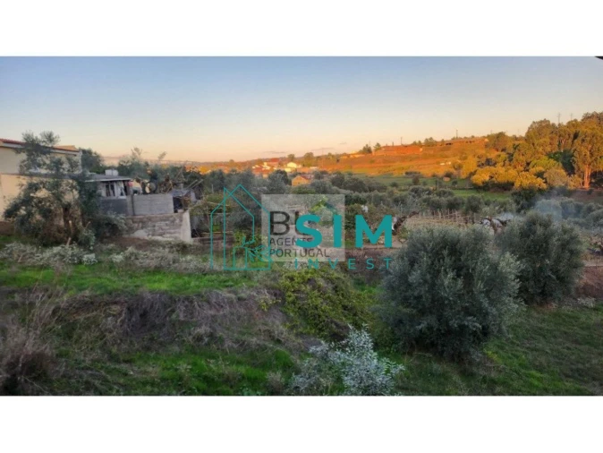 Moradia T5 para Venda em São Pedro de Tomar Foto 2