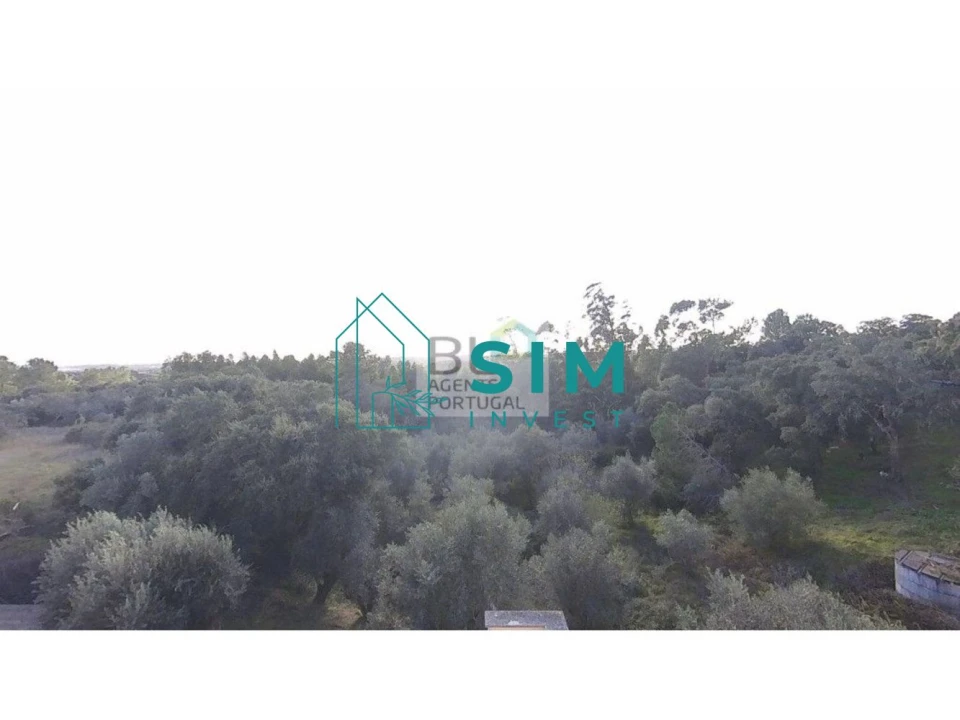 Moradia T4 para Venda em Além da Ribeira e Pedreira Foto 3