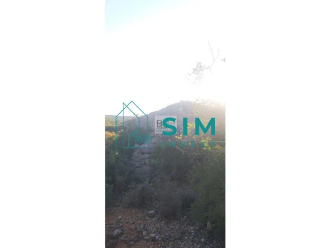 Terreno para Venda em Santa Catarina da Fonte do Bispo Foto 2