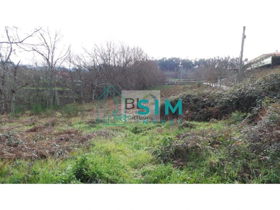 Terreno para Venda em Lomba Foto 3