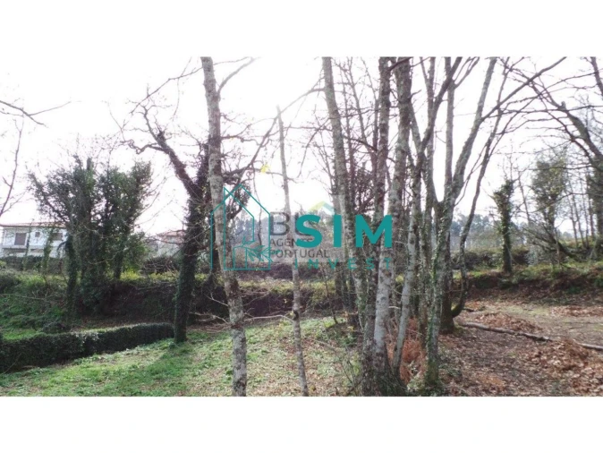 Terreno para Venda em Lomba Foto 11