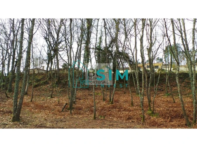 Terreno para Venda em Lomba